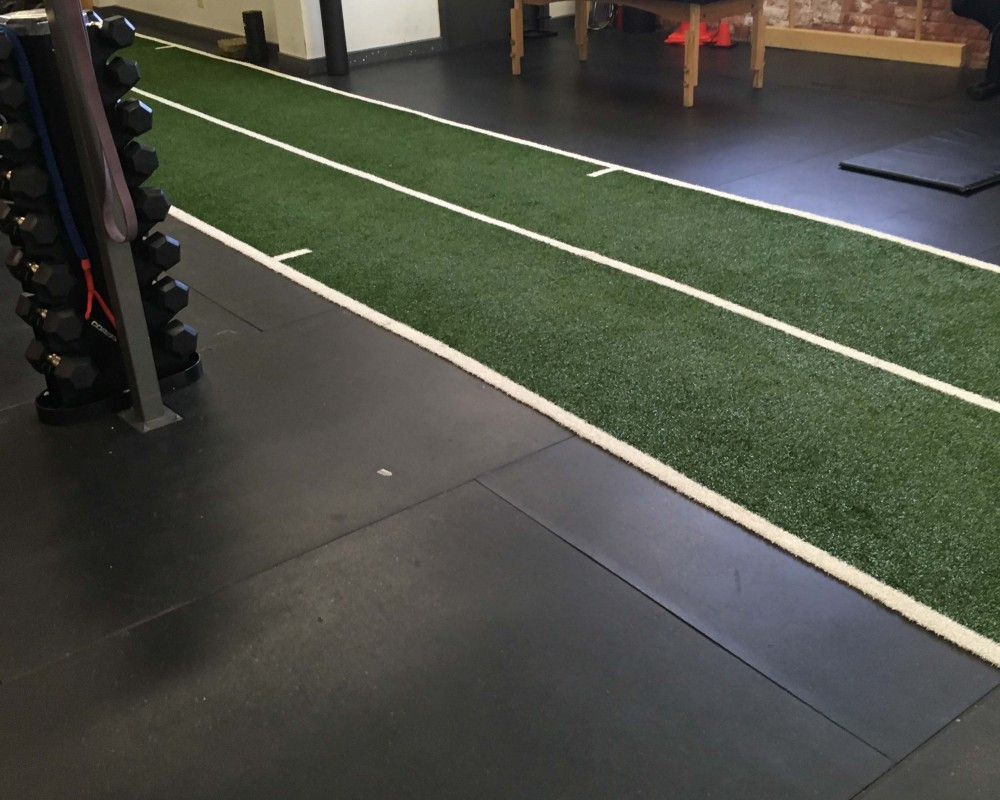 Indoor Turf Systems